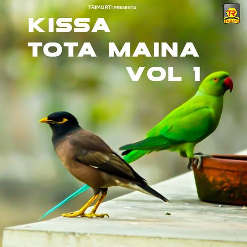 download Sadhana  Kissa Tota Maina Vol 1 mp3 Single Tracks song 