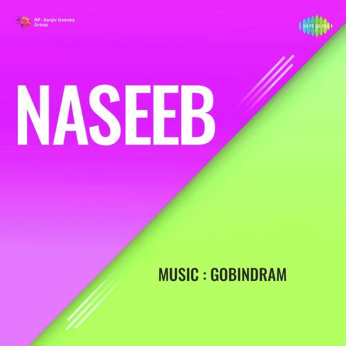 download Rajkumari  Naseeb mp3 Single Tracks song 