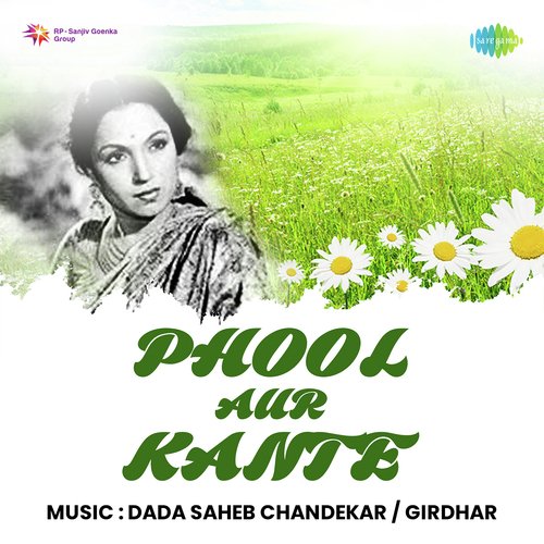 download Meena Kapoor  Phool Aur Kante mp3 Single Tracks song 