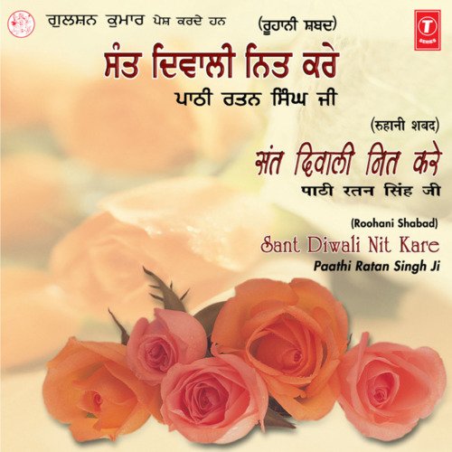 download Pathi Ratan Singh Ji  Sant Diwali Nit Kare Vol-8 mp3 Single Tracks song 