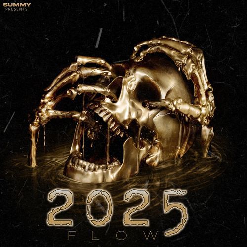 download Summy  2025 Flow mp3 Single Tracks song 