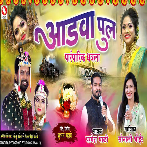 download Sonali Bhoir, Parmesh Mali  Aadava Pul mp3 Single Tracks song 