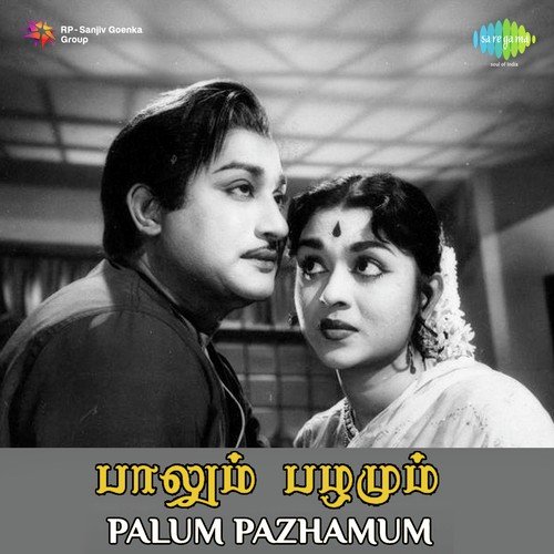 download P. Susheela  Aalayamanyin mp3 Single Tracks song 