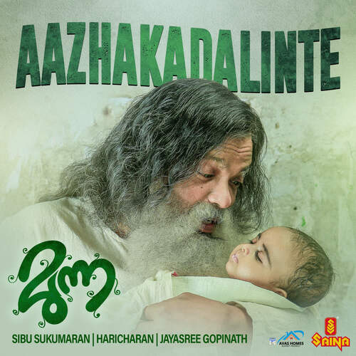 download Haricharan  Aazhakadalinte mp3 Single Tracks song 