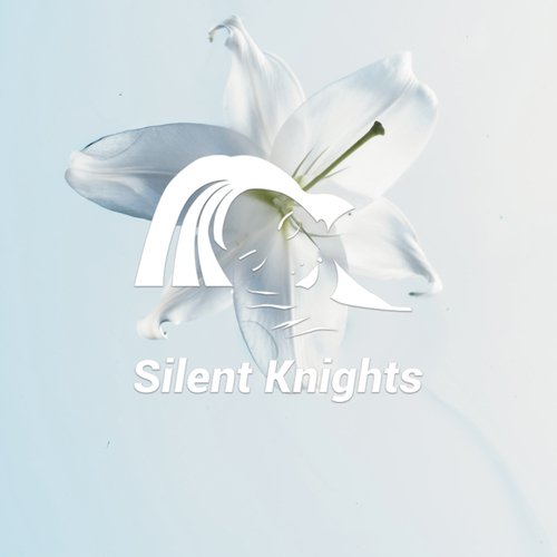 download Silent Knights  Air Con Calming For Babys mp3 Single Tracks song 