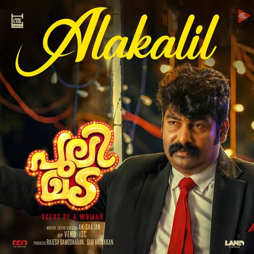 download   Alakalil mp3 Single Tracks song 