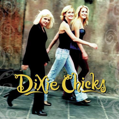 download The Chicks  Am I The Only One mp3 Single Tracks song 