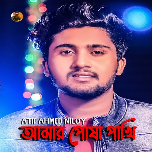 download   Amar Posha Pakhi mp3 Single Tracks song 