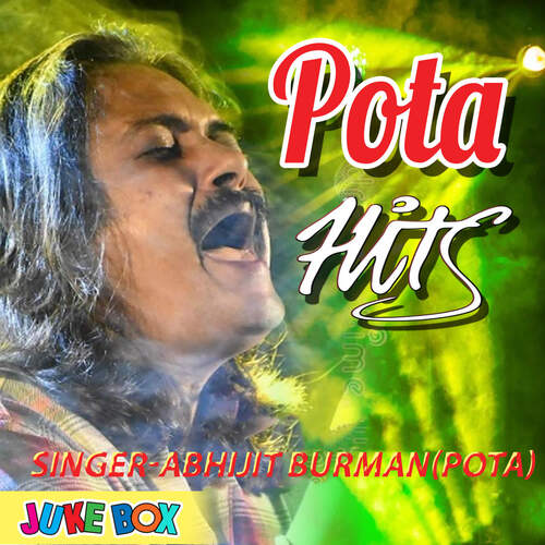 download Pota  Ami Sudhu Cheachi Tomay mp3 Single Tracks song 