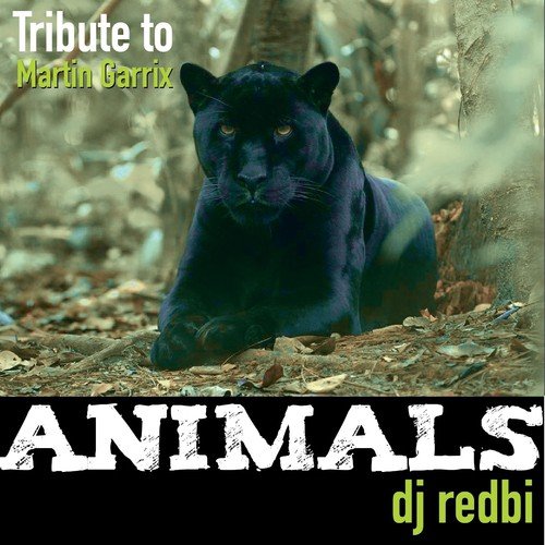 download DJ Redbi  Animals mp3 Single Tracks song 