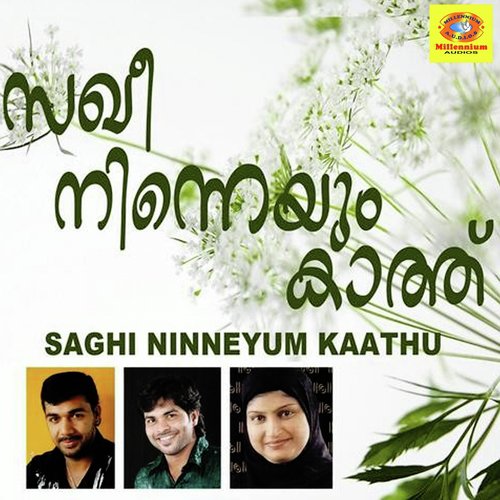 download Shafi Kollam  Annu Nammal mp3 Single Tracks song 