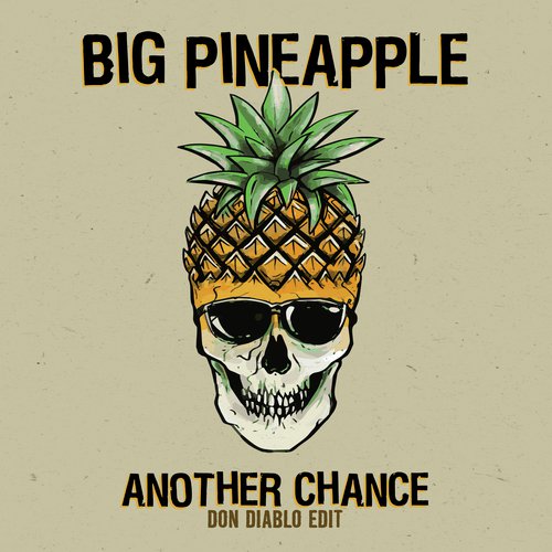 download Big Pineapple  Another Chance mp3 Single Tracks song 