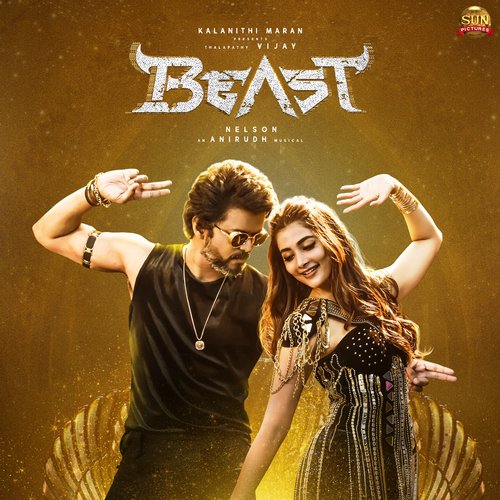 download Anirudh Ravichander, Jonita Gandhi  Arabic Kuthu Halamithi Habibo mp3 Single Tracks song 