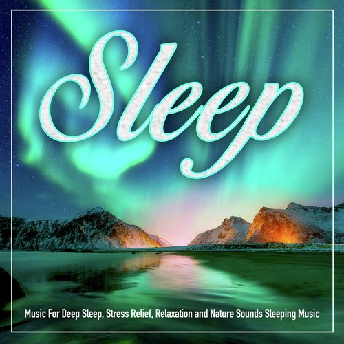 download Sleeping Music Experience, Deep Sleep Music Experience, Sleeping Music  Asmr Forest Sounds For Deep Sleep mp3 Single Tracks song 