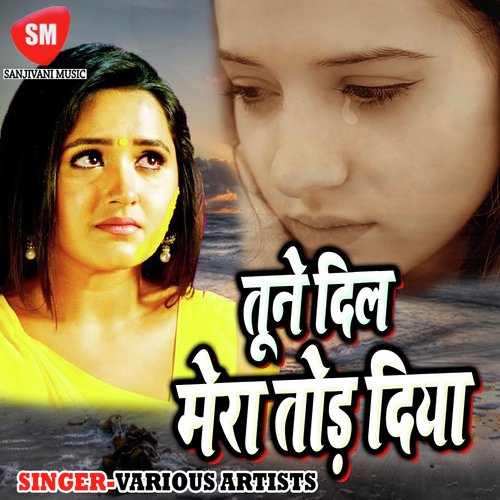 download   Ayi Dil Ruba Tere Pyar Me mp3 Single Tracks song 