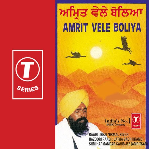 download Bhai Nirmal Singh Ji-Hazoori Ragi Sri Darbar Saheb Amritsar  Babeeha Amrit Vele Boliya mp3 Single Tracks song 