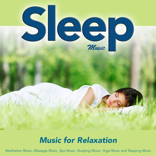 download Sleeping Music  Baby Sleep mp3 Single Tracks song 