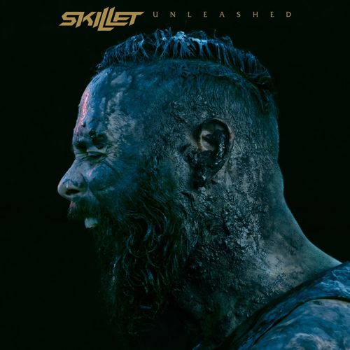 download Skillet  Back From The Dead mp3 Single Tracks song 