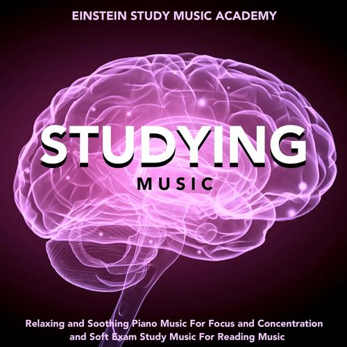 download Einstein Study Music Academy  Background Reading Music mp3 Single Tracks song 