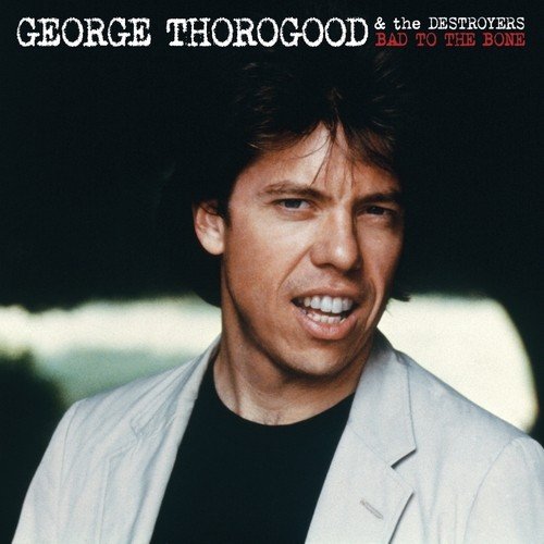 download George Thorogood And The Destroyers  Bad To The Bone mp3 Single Tracks song 