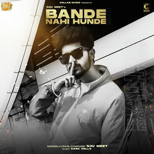 download Nav Meet  Bande Nahi Hunde mp3 Single Tracks song 