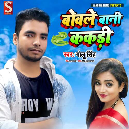 download Golu Singh  Bawali Saiya mp3 Single Tracks song 