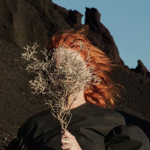 download Goldfrapp  Become The One mp3 Single Tracks song 