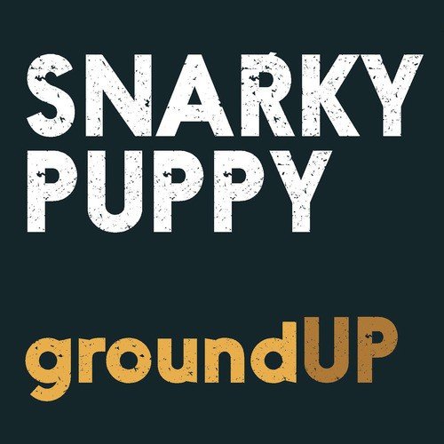 download Snarky Puppy  Bent Nails mp3 Single Tracks song 