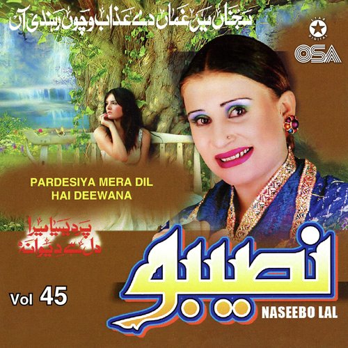 download Naseebo Lal  Bewafa Nikla Aen Tu mp3 Single Tracks song 