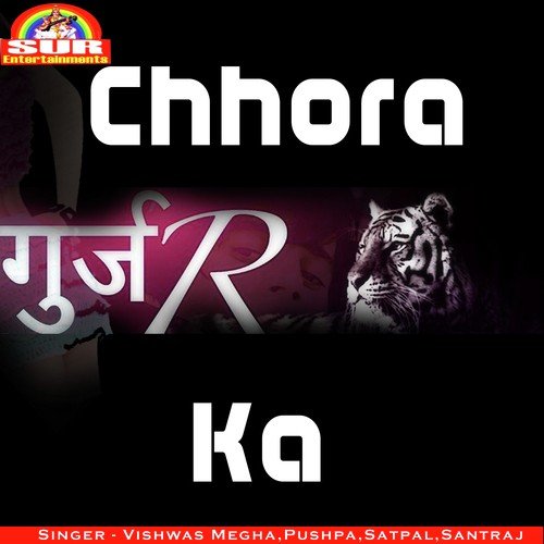 download Vishwas, Megha  Bhabhi Puchhai Na mp3 Single Tracks song 