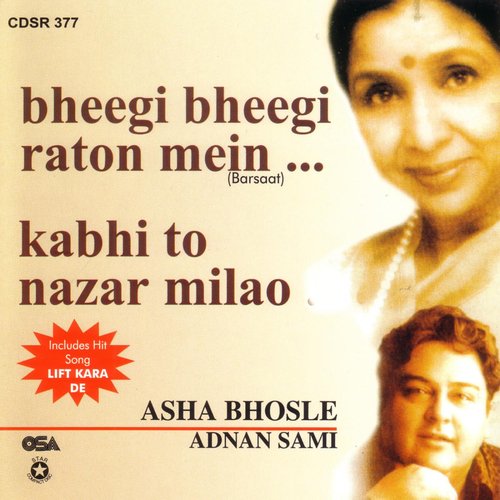 download Adnan Sami  Bheegi Bheegi Raton Mein mp3 Single Tracks song 