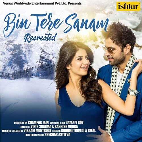 download Bhoomi Trivedi, Bilal  Bin Tere Sanam Recreated mp3 Single Tracks song 