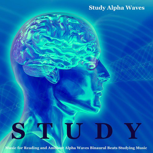 download Study Alpha Waves  Binaural Beats Concentration Music mp3 Single Tracks song 