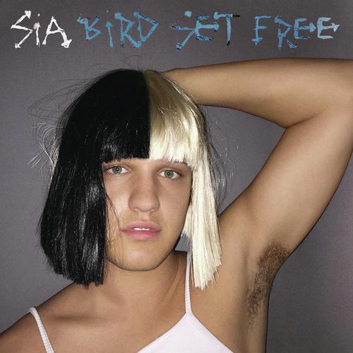 download Sia  Bird Set Free mp3 Single Tracks song 