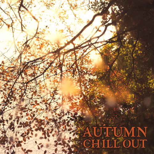 download Acoustic Chill Out  Breeze mp3 Single Tracks song 