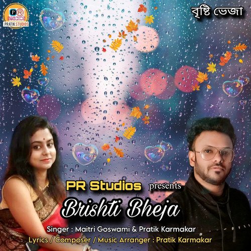 download   Brishti Bheja mp3 Single Tracks song 