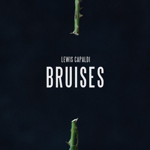 download Lewis Capaldi  Bruises mp3 Single Tracks song 