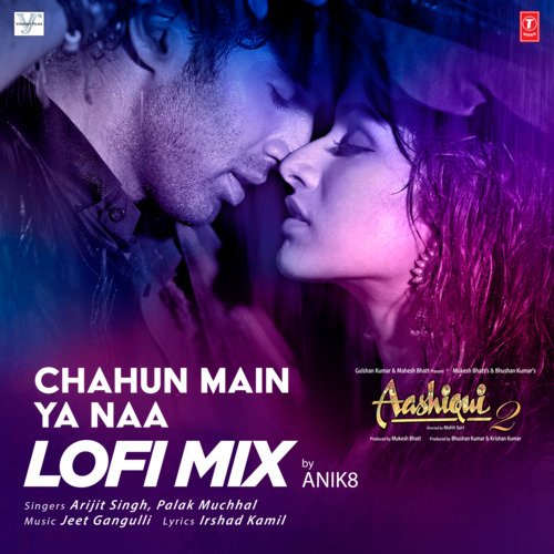 download Arijit Singh, Palak Muchhal  Chahun Main Ya Naa Lofi Mix mp3 Single Tracks song 