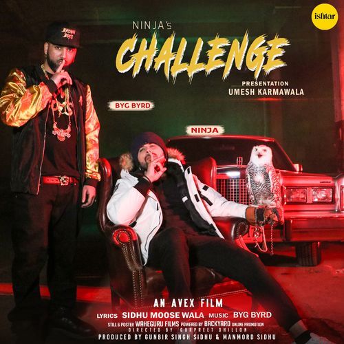 download Ninja  Challenge mp3 Single Tracks song 