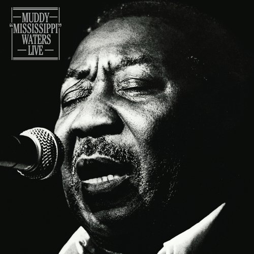 download Muddy Waters  Champagne Amp Reefer mp3 Single Tracks song 