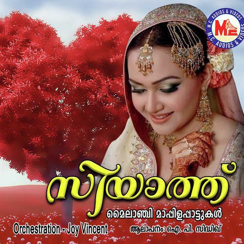 download I.P. Sidhiq  Chelathelivoli mp3 Single Tracks song 