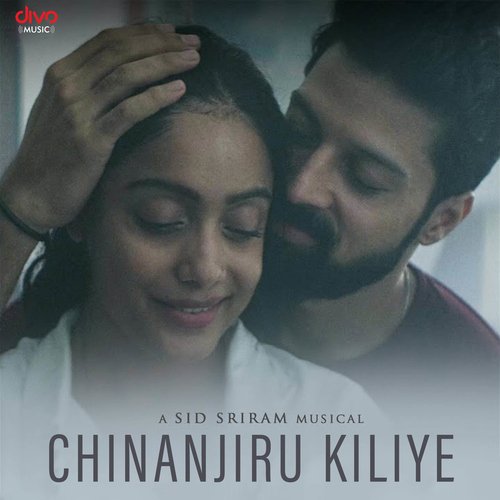 download Ilaiyaraaja, S. Janaki  Chinanjiru Kiliye mp3 Single Tracks song 