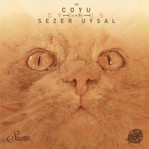 download Coyu, Sezer Uysal  Cygnus mp3 Single Tracks song 