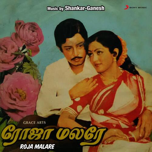 download Shankar-Ganesh, K.J. Yesudas, B.S. Sasirekha  Deiveegam mp3 Single Tracks song 