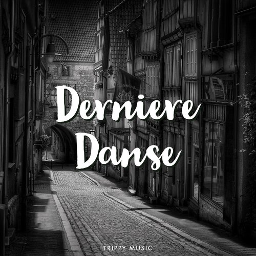 download Trippy Music  Derniere Danse mp3 Single Tracks song 