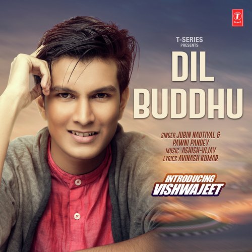 download Jubin Nautiyal, Pawni Pandey  Dil Buddhu mp3 Single Tracks song 