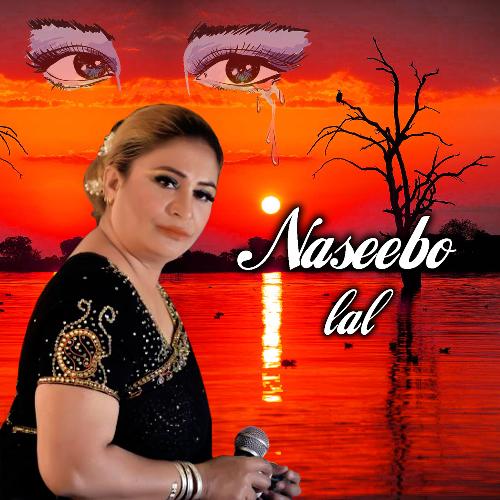 download Naseebo Lal  Dil Deta Hai Ro Ro Duhai mp3 Single Tracks song 