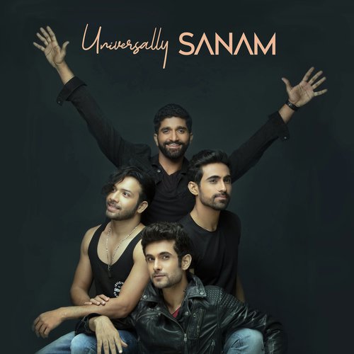 download Sanam  Dil Kya Kare mp3 Single Tracks song 