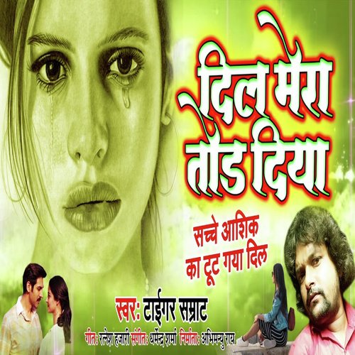 download   Dil Mera Tod Diya mp3 Single Tracks song 