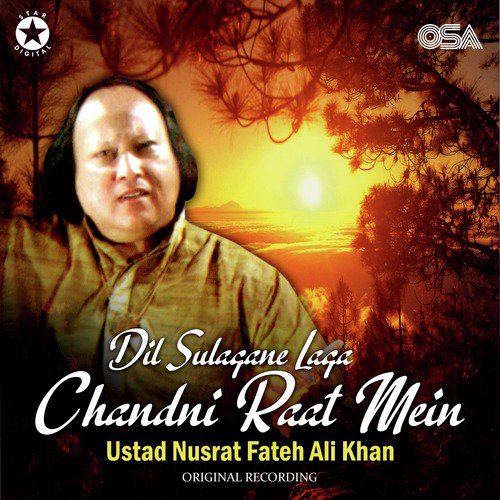 download Nusrat Fateh Ali Khan  Dil Sulagane Laga Chandni Raat Mein mp3 Single Tracks song 